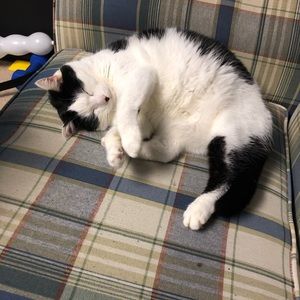 Meet your Posher, Alex